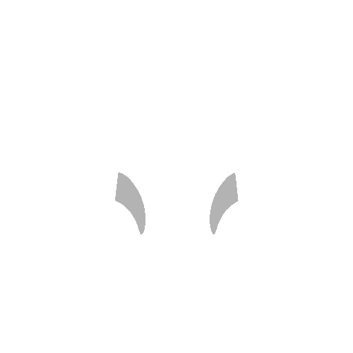 Layered Image