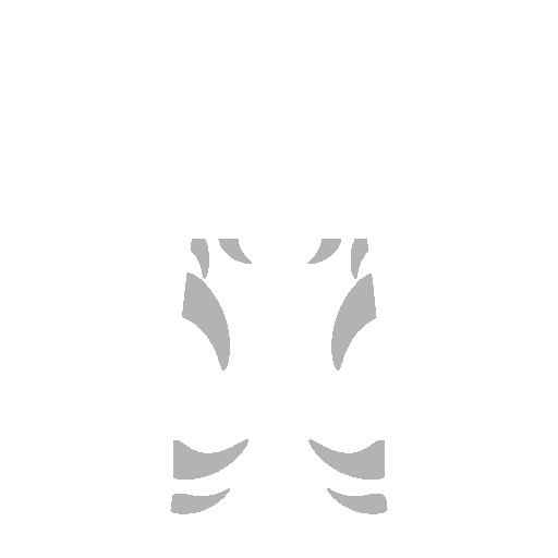 Layered Image